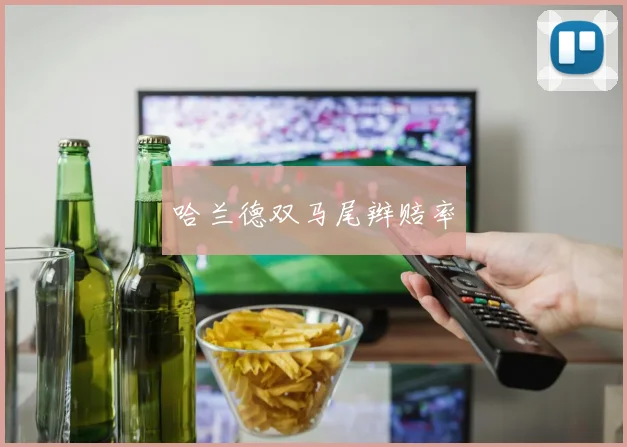 哈兰德双马尾辫赔率