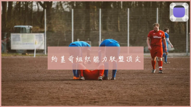 约基奇组织能力联盟顶尖